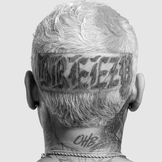 Chris Brown – Possessive (Feat Lil Wayne & Yung Bleu)