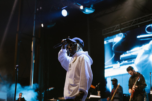 Lil Wayne Performs Live At The 2019 JMBLYA Festival In Dallas [Pictures]