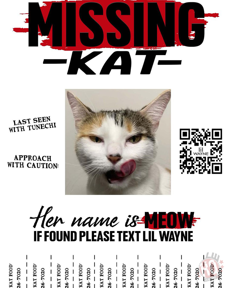 Lil Wayne Kat Food Single Promo Poster