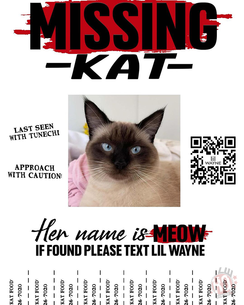 Lil Wayne Kat Food Single Promo Poster