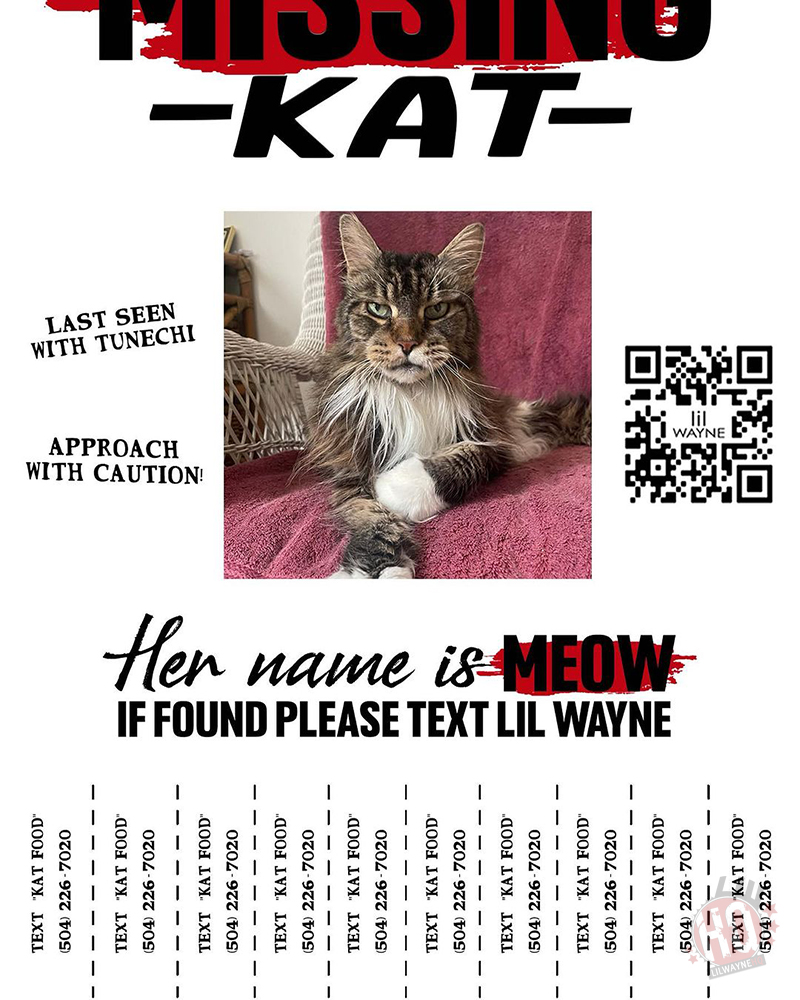 Lil Wayne Kat Food Single Promo Poster