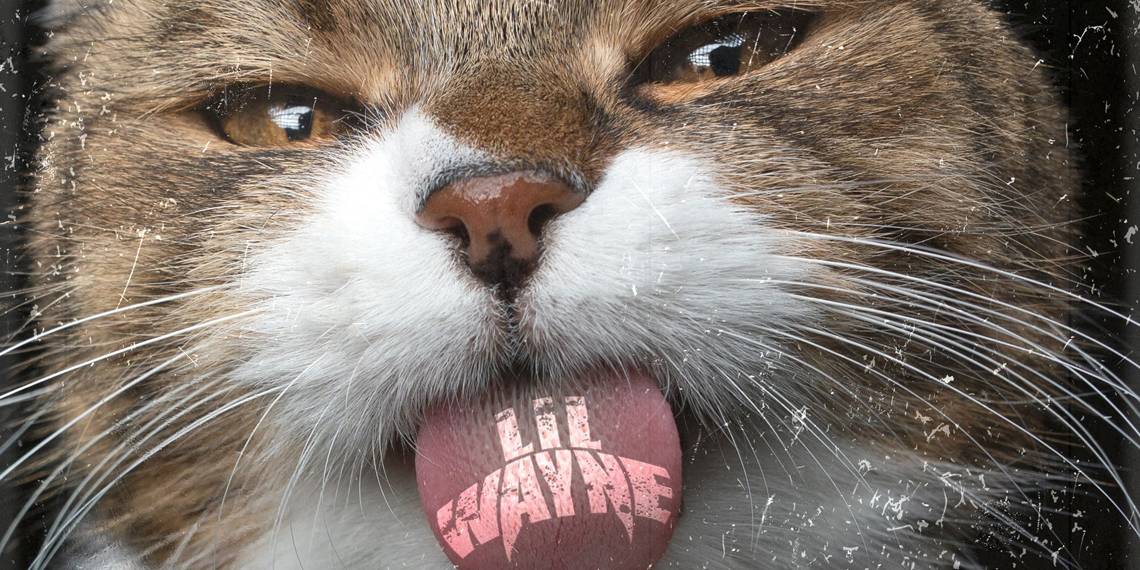 Lil Wayne Releases His Missy Elliott Sampled Single Kat Food