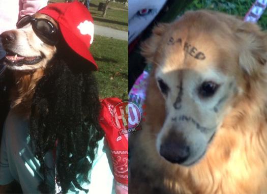 Photos Of Fans Who Dressed Up As Lil Wayne For 2015 Halloween