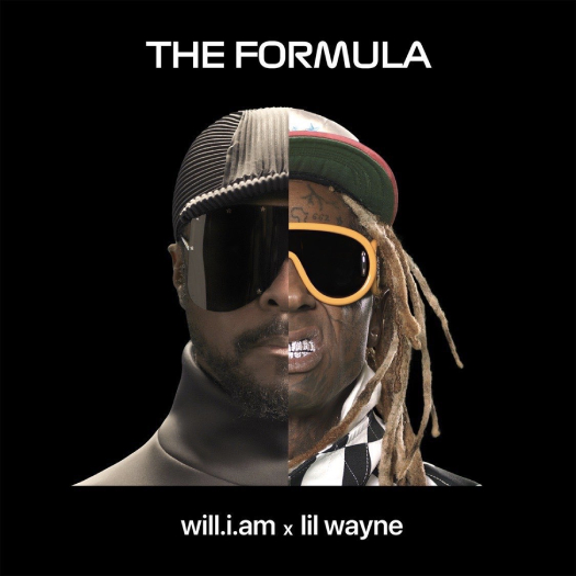 Will I Am & Lil Wayne The Formula