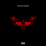 Lil Wayne I Am Not A Human Being 2 Album